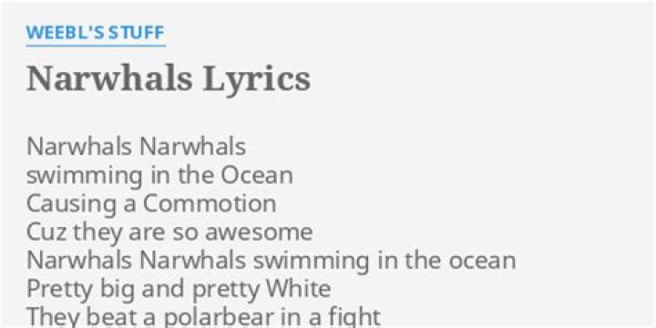 Narwhals lyrics