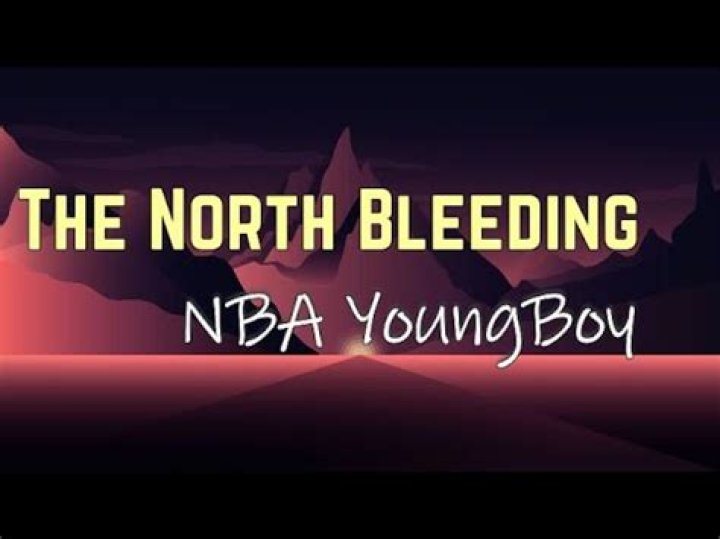 Nba youngboy(clean) the north bleeding lyrics