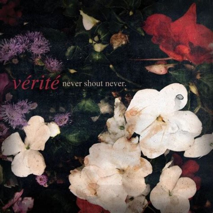 Nevershoutnever lyrics