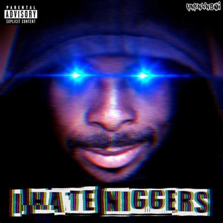 Niggers hate me lyrics