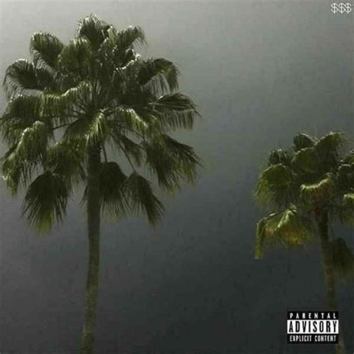 North side suicide lyrics