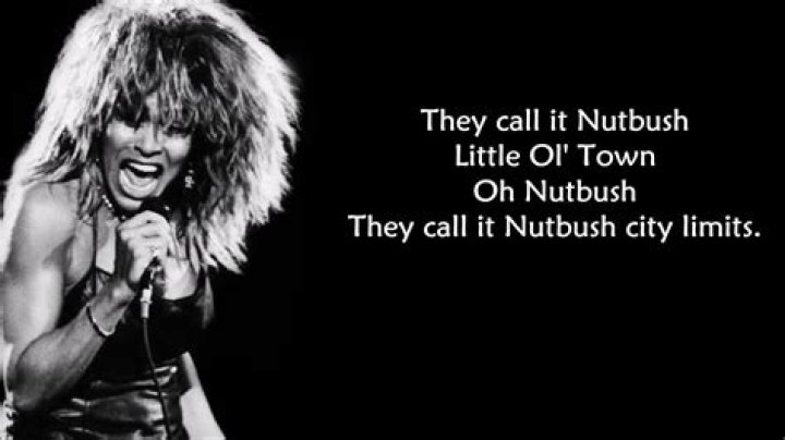 Nutbush city limits lyrics