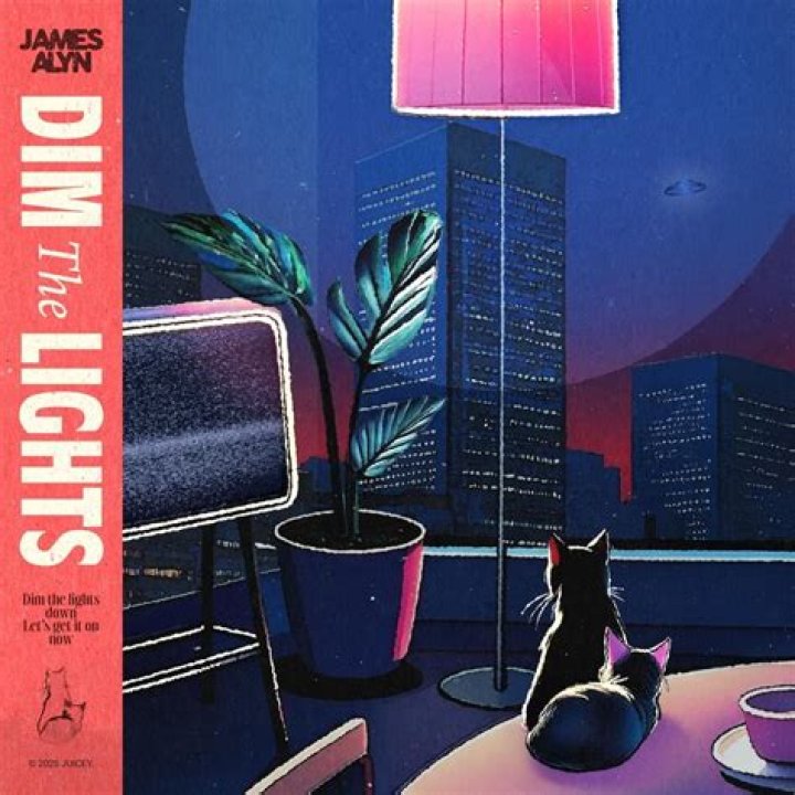 Oh its friday dim the lights lyrics