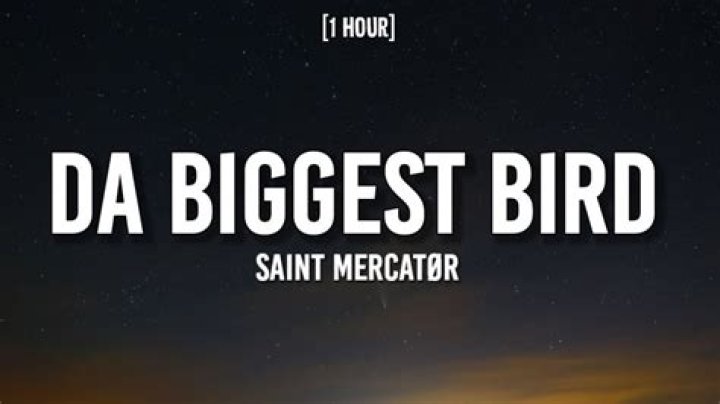 Oh no oh no im da biggest bird lyrics