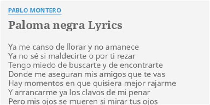 Pablo Montero Paloma negra Lyrics English Translation