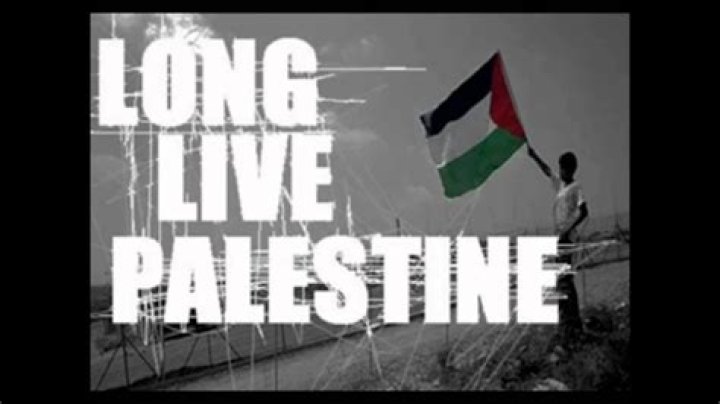 Palestine lyrics