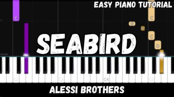 PALMETTO PEACH CHORDS by Seabird