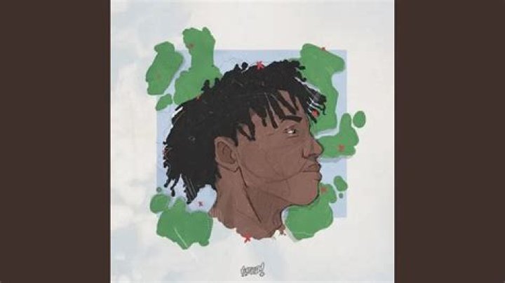 Pop a perc it give me stamina she ate the lyrics