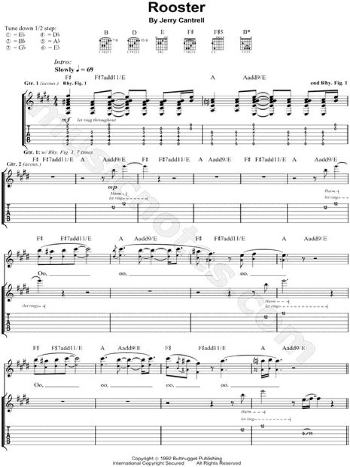 ROOSTER ACOUSTIC TAB by Alice in Chains