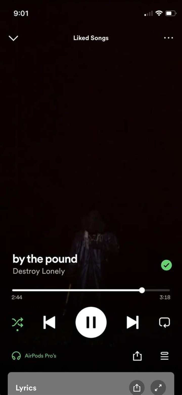Semnificația melodiei ​by the pound a lui Destroy Lonely