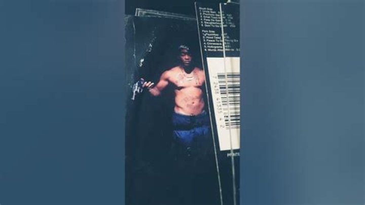 Semnificația melodiei Hollograms a lui Ganksta NIP