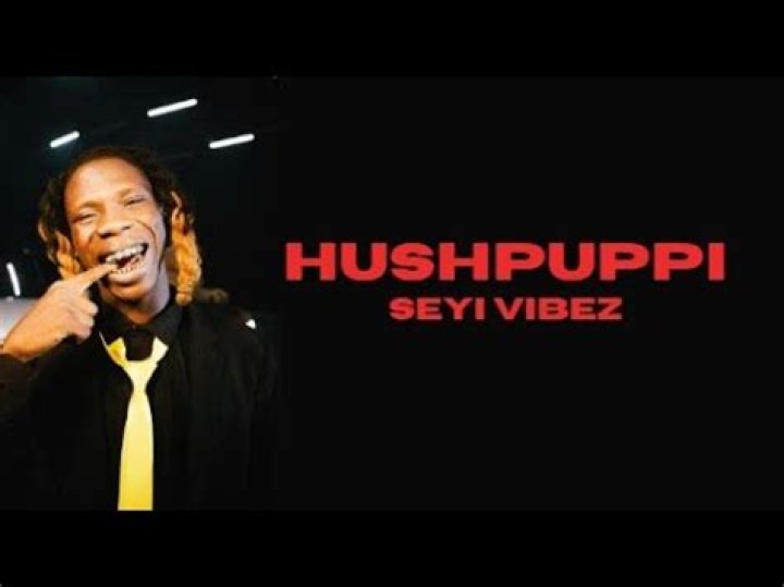 Seyi vibez hushpuppi lyrics