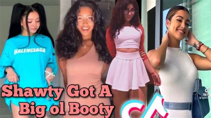 Shawty got a big ol booty shake that ass twerk lyrics