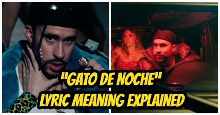 Significado de Gato de Noche de Bad Bunny