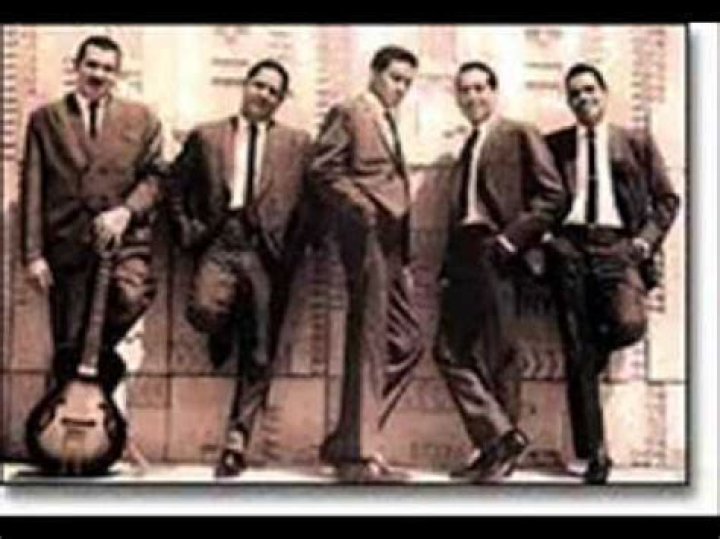 Significado de He venido de Los Zafiros (Grupo)