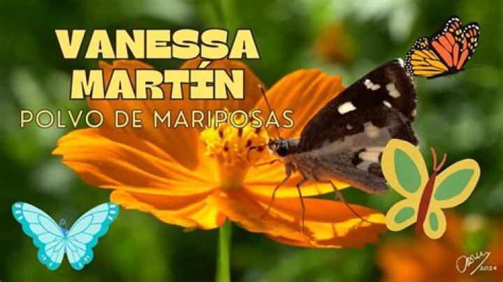 Significado de Polvo de mariposas de Vanesa Martín