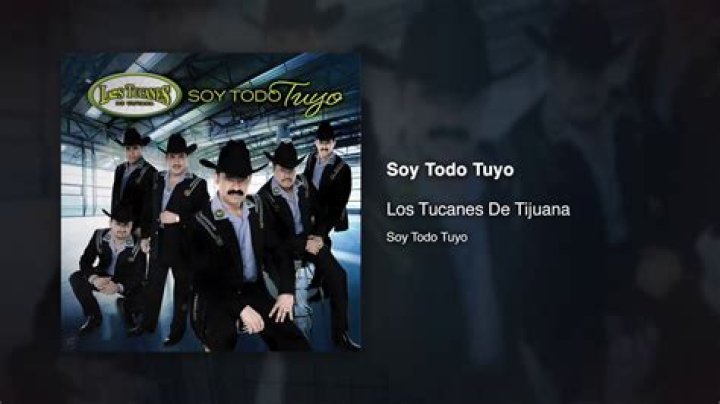 Significado de Soy Todo Tuyo de Los Tucanes De Tijuana