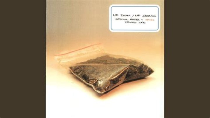 Signification de Benzoin Gum + Asafoetida = 10 Years Later par MF DOOM & MF Grimm