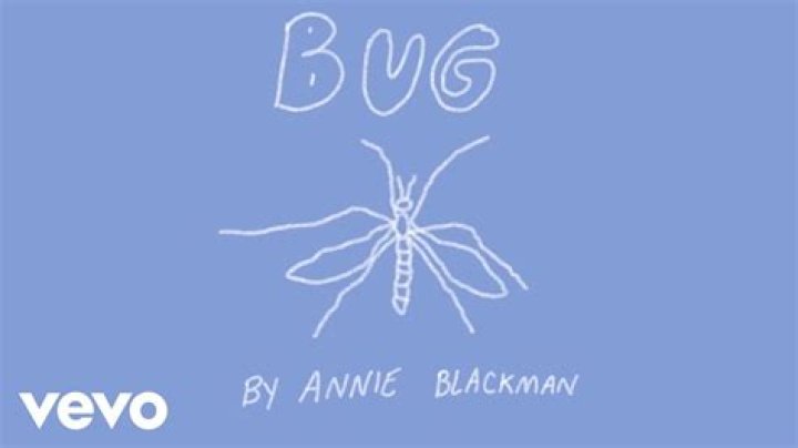 Significato di Bug di Annie Blackman