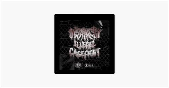 Significato di Insanely Illegal Cage Fight di Dal Av x Jackson Rose