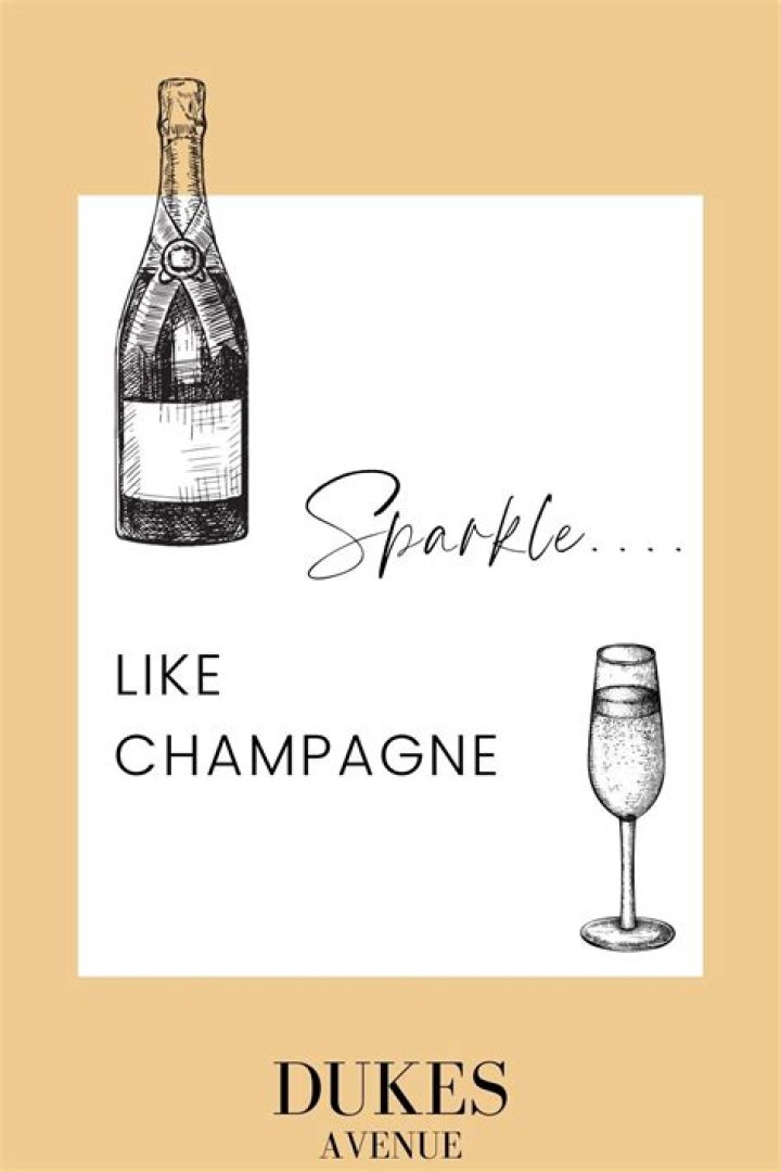 Sipping champagne with your main bitch lyrics