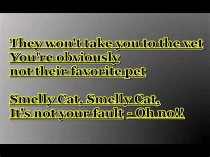 Smelly cat lyrics