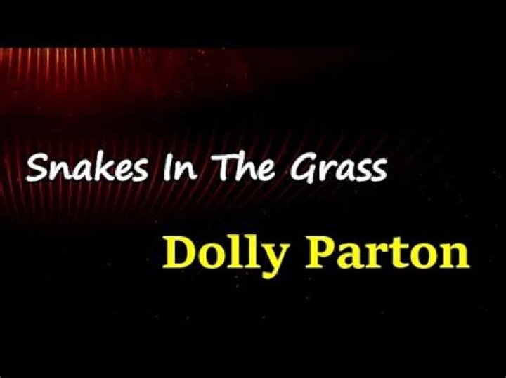 Snakes in the grass lyrics