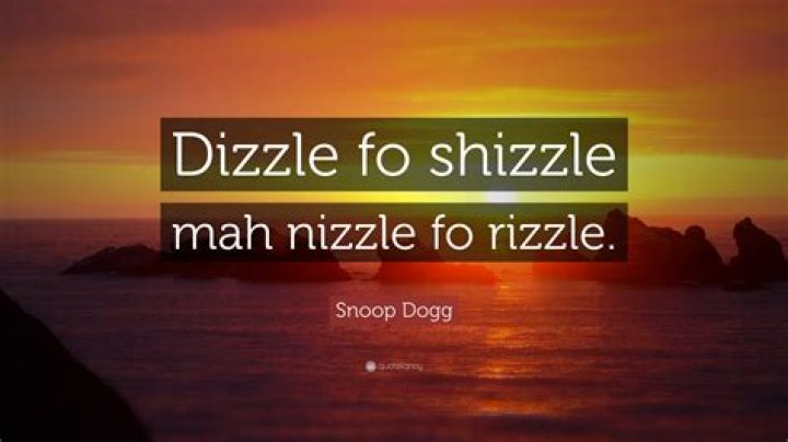 Snoop fa shizzle my nizzle lyrics