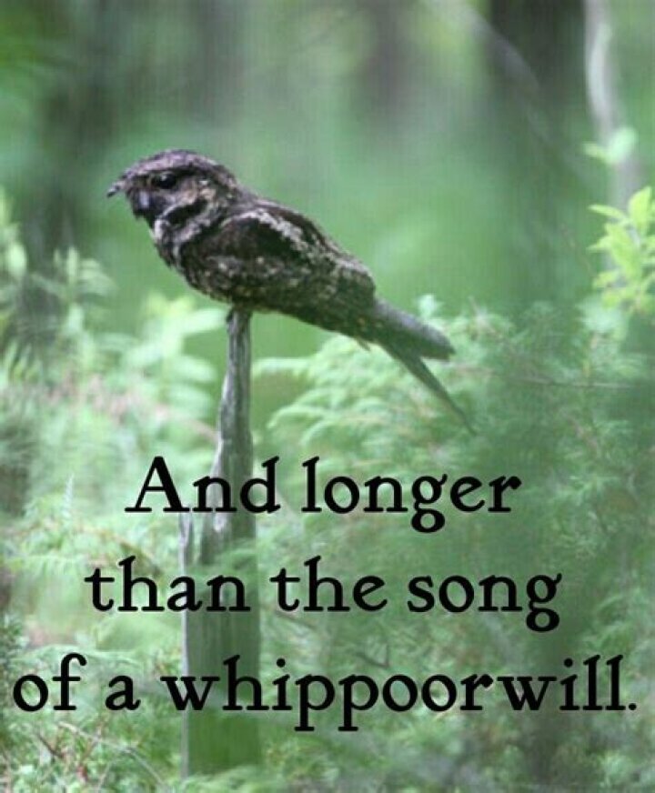 Song of a whippoorwill lyrics