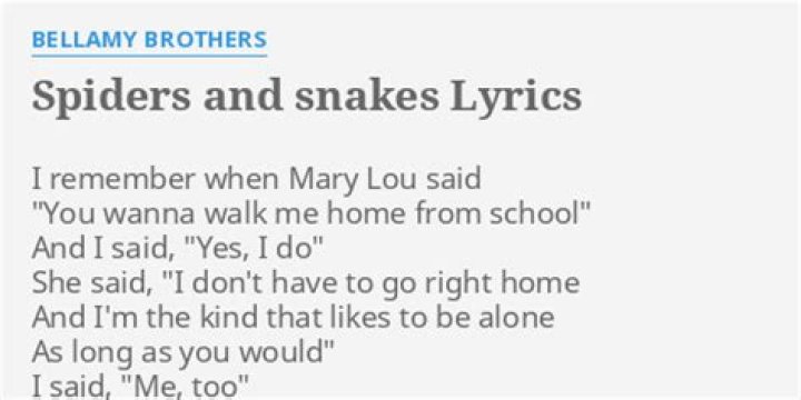 Spiders and snakes lyrics