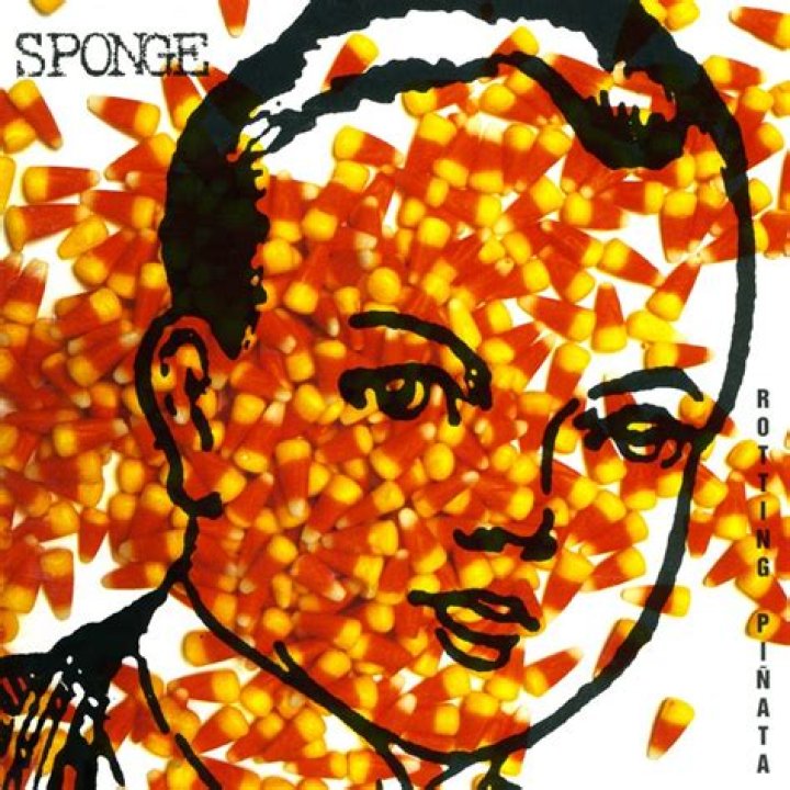 Sponge plowed lyrics