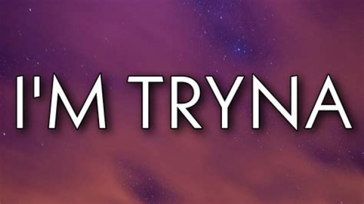 Still tryna hit big booty ari wit her ugly ass lyrics