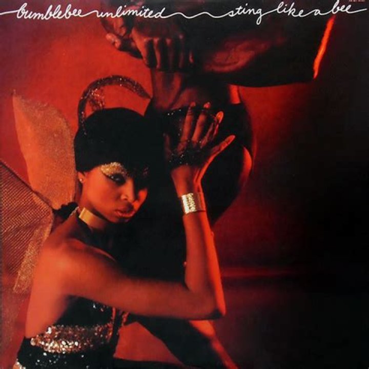 Sting like a bee lyrics