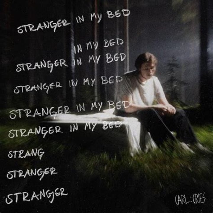 Stranger in my bed lyrics