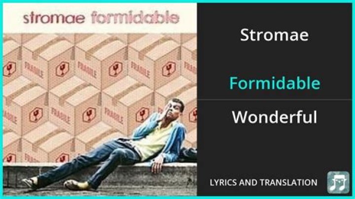 Stromae Formidable Lyrics English Translation