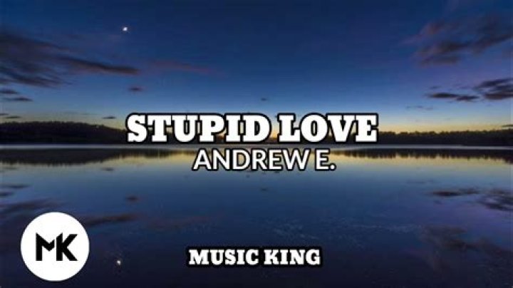Stupid love andrew e lyrics