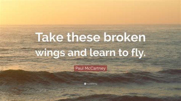 Take this pair of wings and learn to fly lyrics