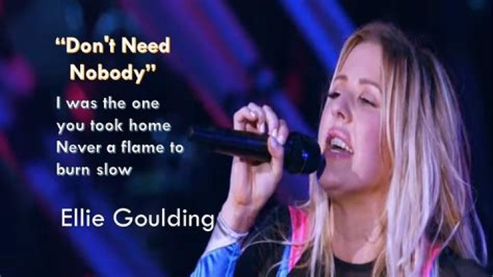 The chainsmoker i dont need nobody lyrics