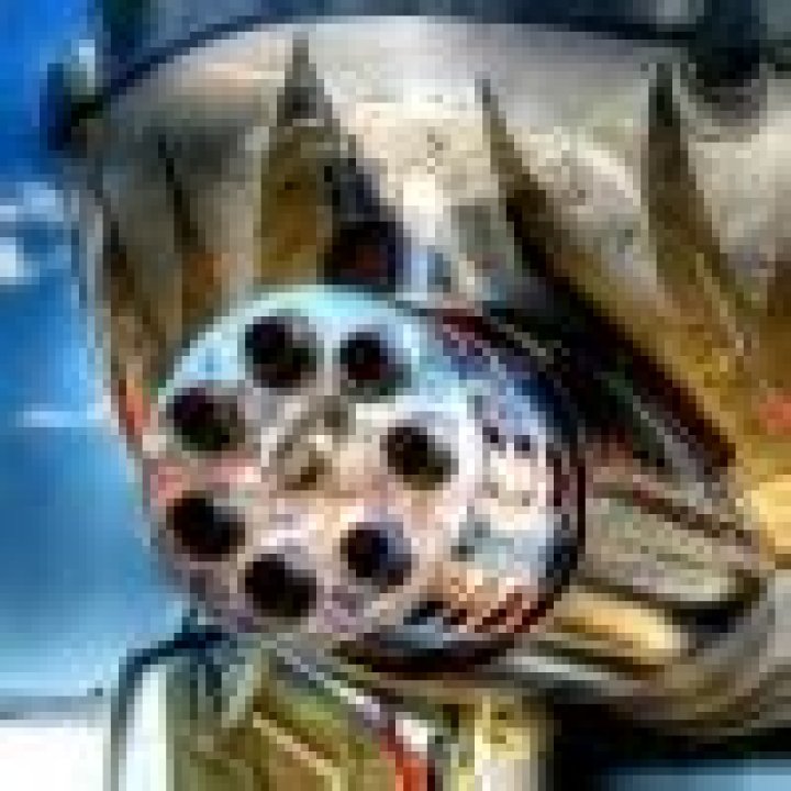 THE IDIOT CHORDS by Stan Rogers