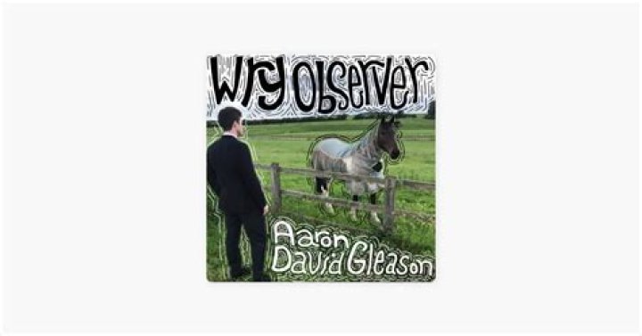 The List of Aaron David Gleason Albums in Order