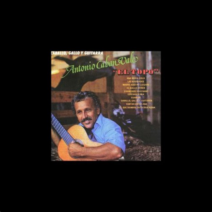 The List of Antonio Cabán Vale \El Topo\ Albums in Order