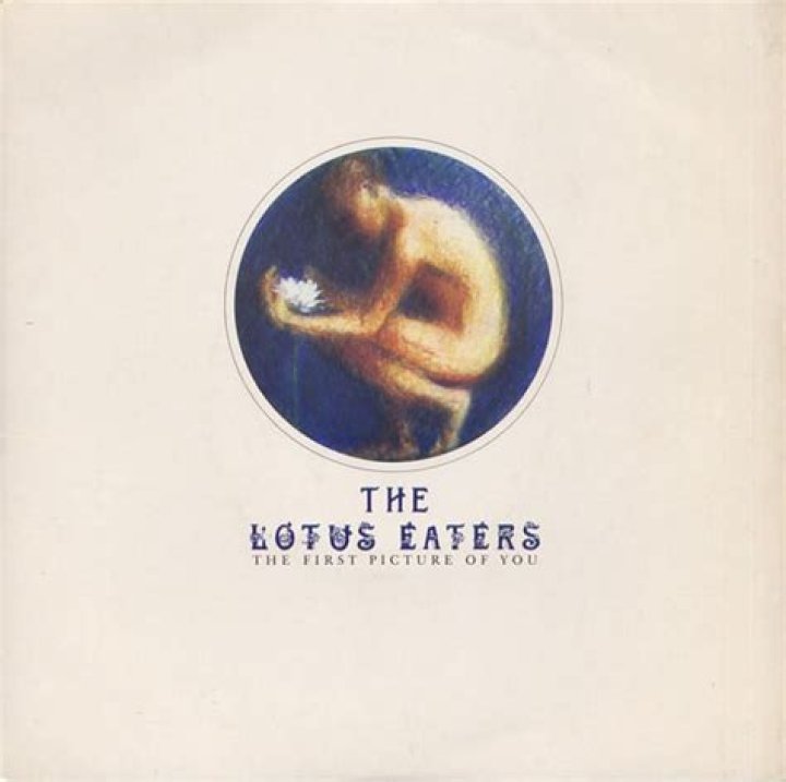 The lotus eaters lyrics