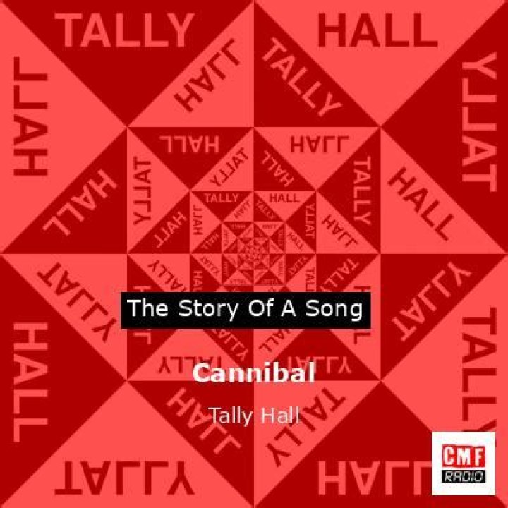 The Meaning Behind The Song: A Lady by Tally Hall