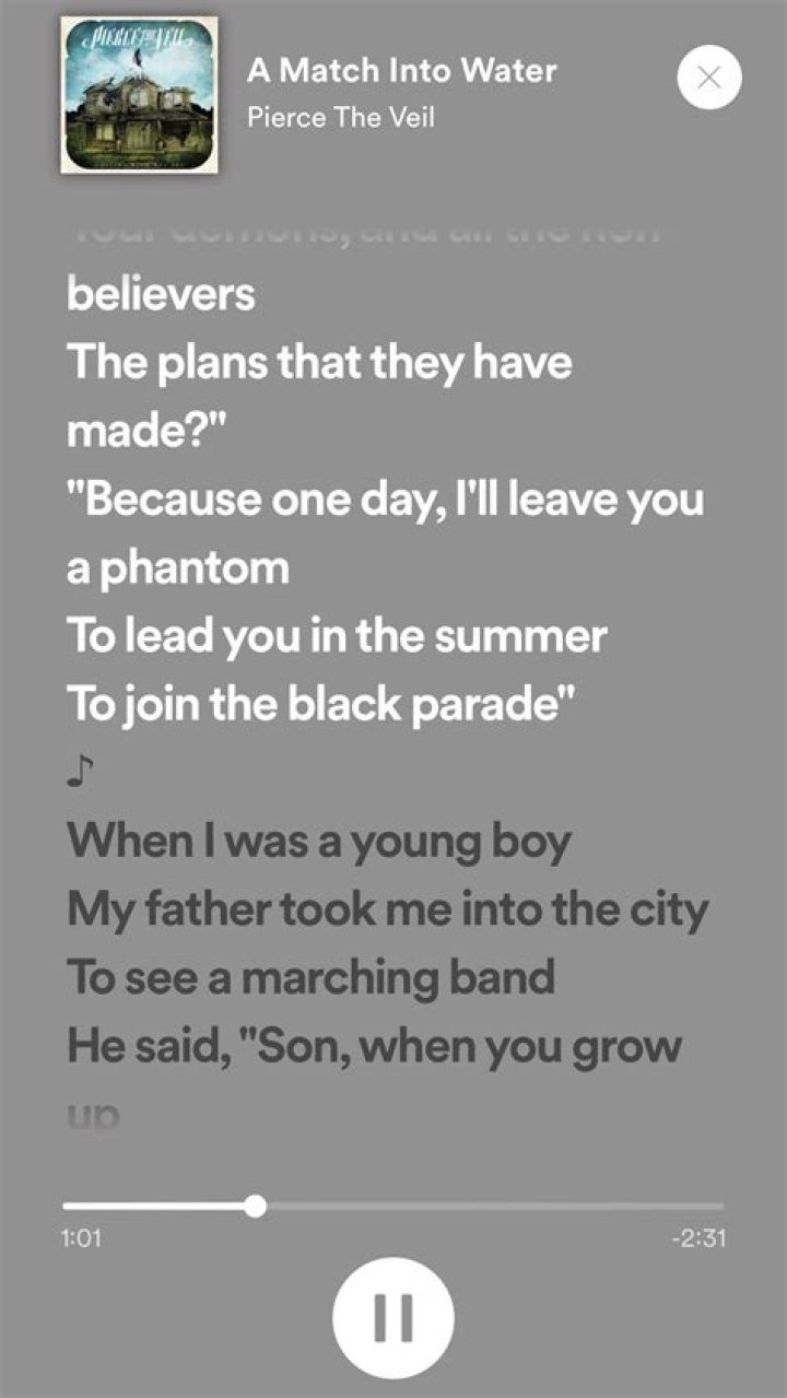 The Meaning Behind The Song: A Match into Water by Pierce The Veil