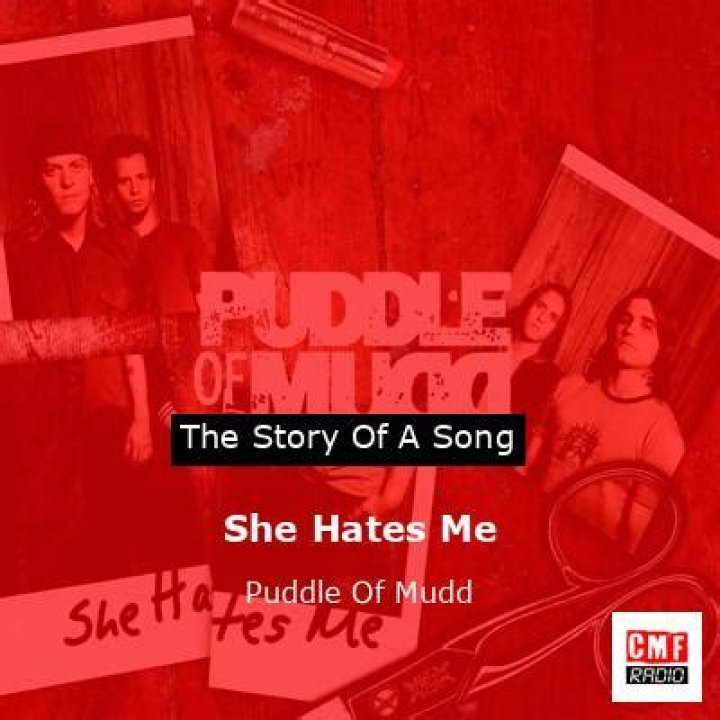 The Meaning Behind The Song: About A Girl (Cover) by Puddle of Mudd