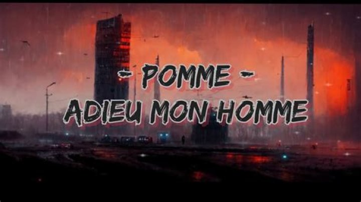 The Meaning Behind The Song: Adieu mon homme by Pomme
