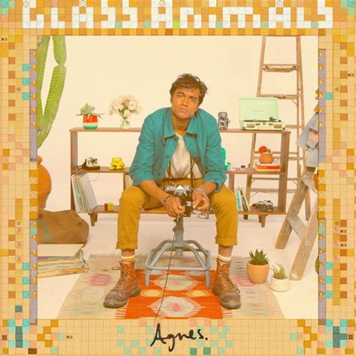 The Meaning Behind The Song: Agnes by Glass Animals