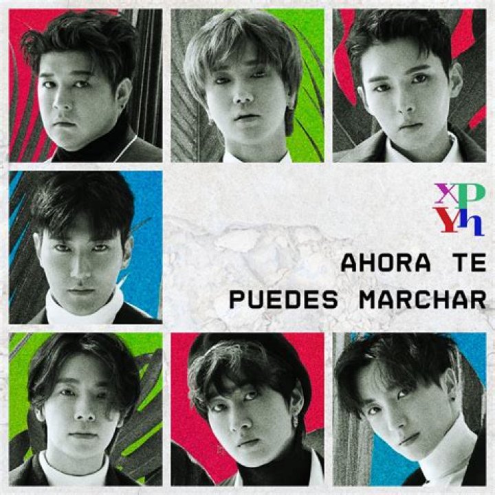 The Meaning Behind The Song: Ahora Te Puedes Marchar by Super Junior