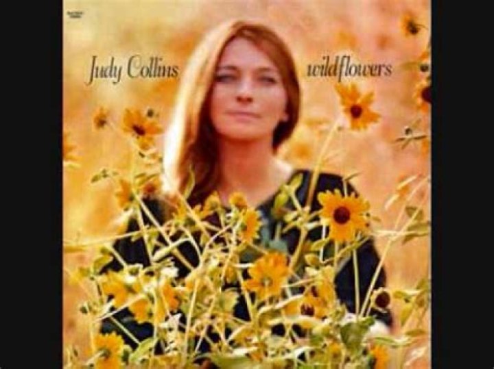 The Meaning Behind The Song: Albatross by Judy Collins
