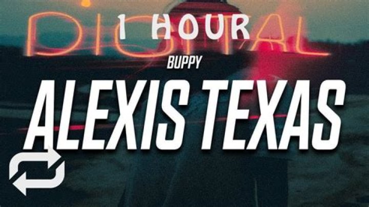 The Meaning Behind The Song: Alexis Texas by Buppy.